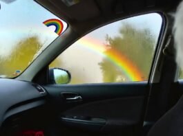 From Setbacks to Success: How to Overcome Any Obstacle That Comes Your Way My actual view while stuck, learning to overcome obstacles